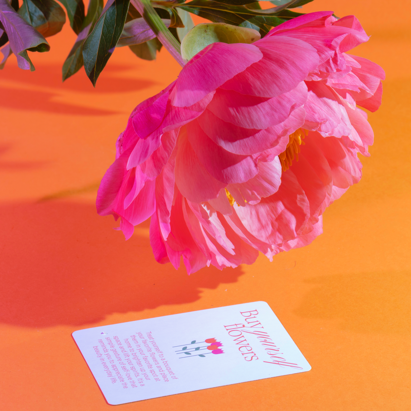 SOLO DATE KIT | Solo Date Cards & Journal